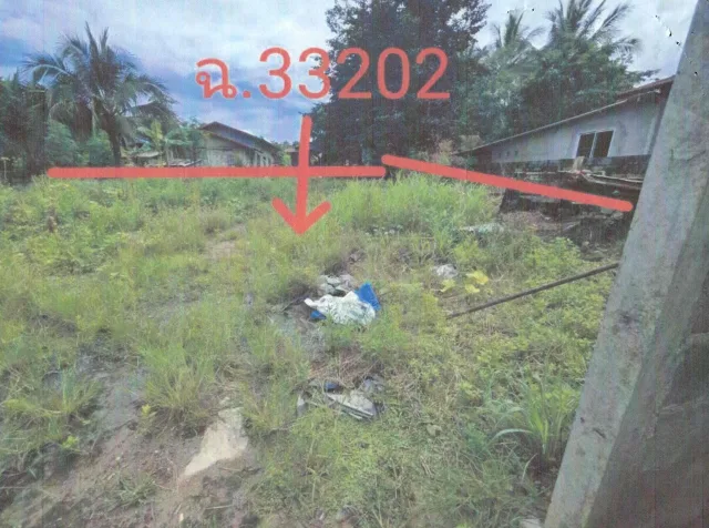 ขายทอดตลาด ที่ดินว่างเปล่า จ.เลย