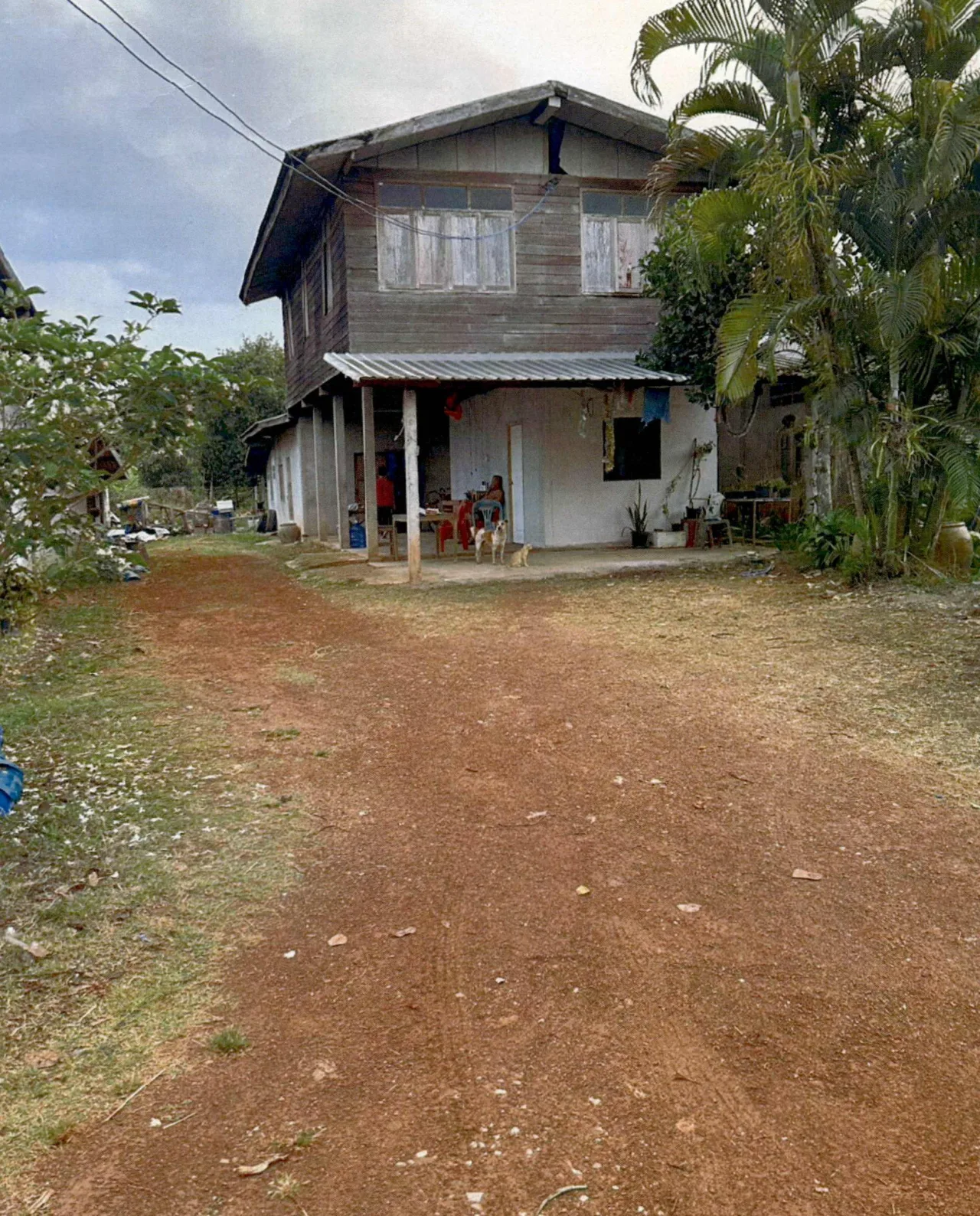 ขายทอดตลาด ที่ดินพร้อมสิ่งปลูกสร้าง ต.วังสะพุง อ.วังสะพุง จ.เลย