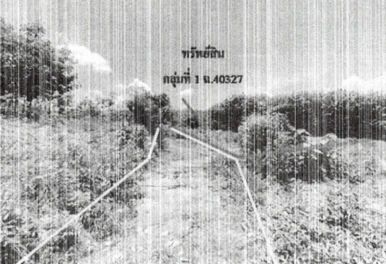 ขายทอดตลาด ที่ดินว่างเปล่า ต.นาอาน อ.เมืองเลย จ.เลย