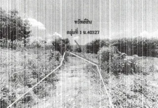 รูปทรัพย์ 1