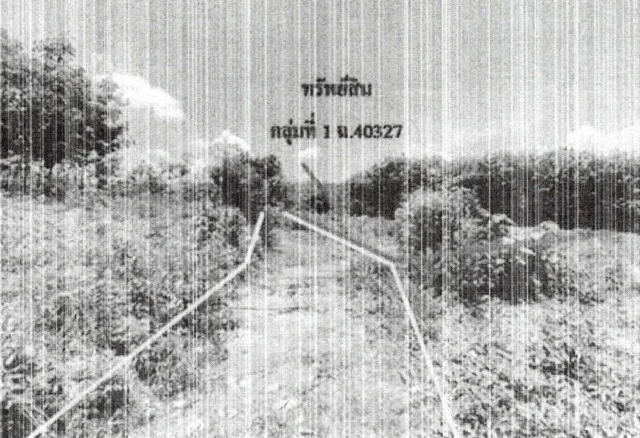 ขายทอดตลาด ที่ดินว่างเปล่า ต.นาอาน อ.เมืองเลย จ.เลย