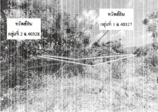 รูปทรัพย์ 2