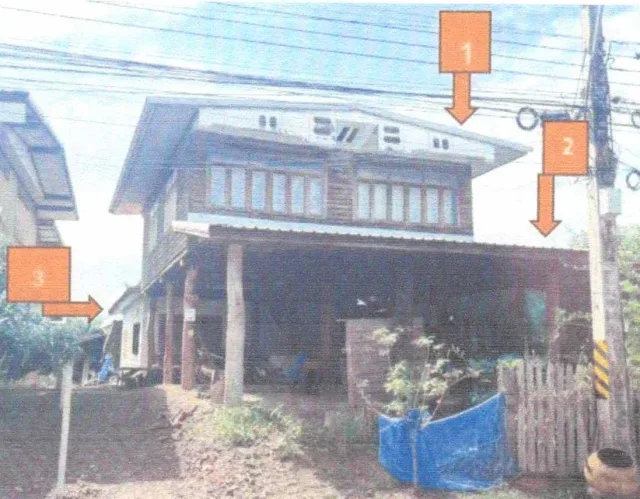 ขายทอดตลาด ที่ดินพร้อมสิ่งปลูกสร้าง ต.หนองผือ อ.ท่าลี่ จ.เลย