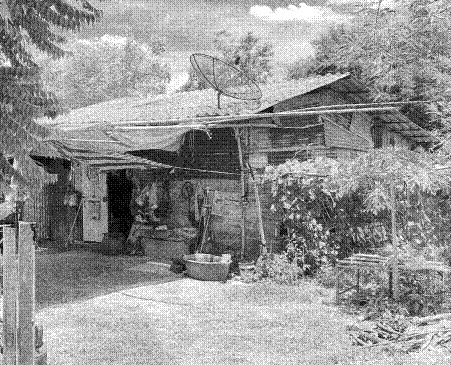 ขายทอดตลาด ที่ดินพร้อมสิ่งปลูกสร้าง ต.เกาะรัง อ.ชัยบาดาล จ.ลพบุรี