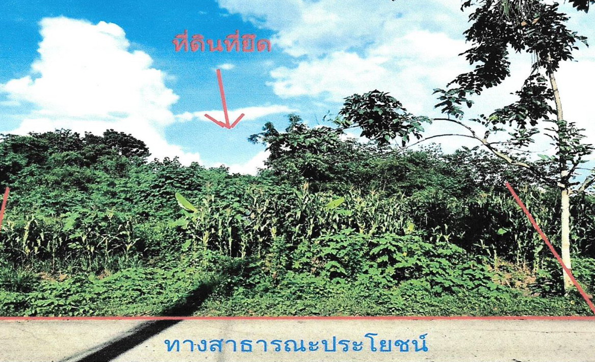 ขายทอดตลาด ที่ดินว่างเปล่า ต.ลำนารายณ์ อ.ชัยบาดาล จ.ลพบุรี