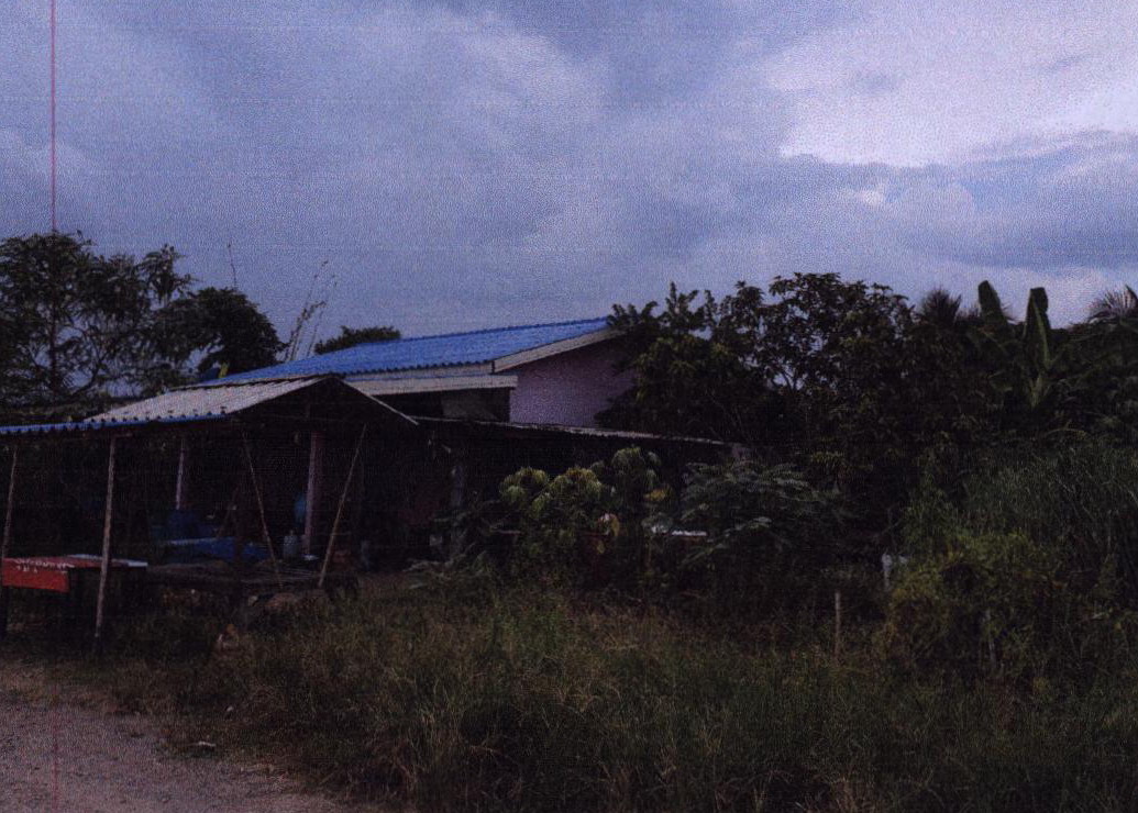 ขายทอดตลาด ที่ดินพร้อมสิ่งปลูกสร้าง ต.เกาะรัง อ.ชัยบาดาล จ.ลพบุรี