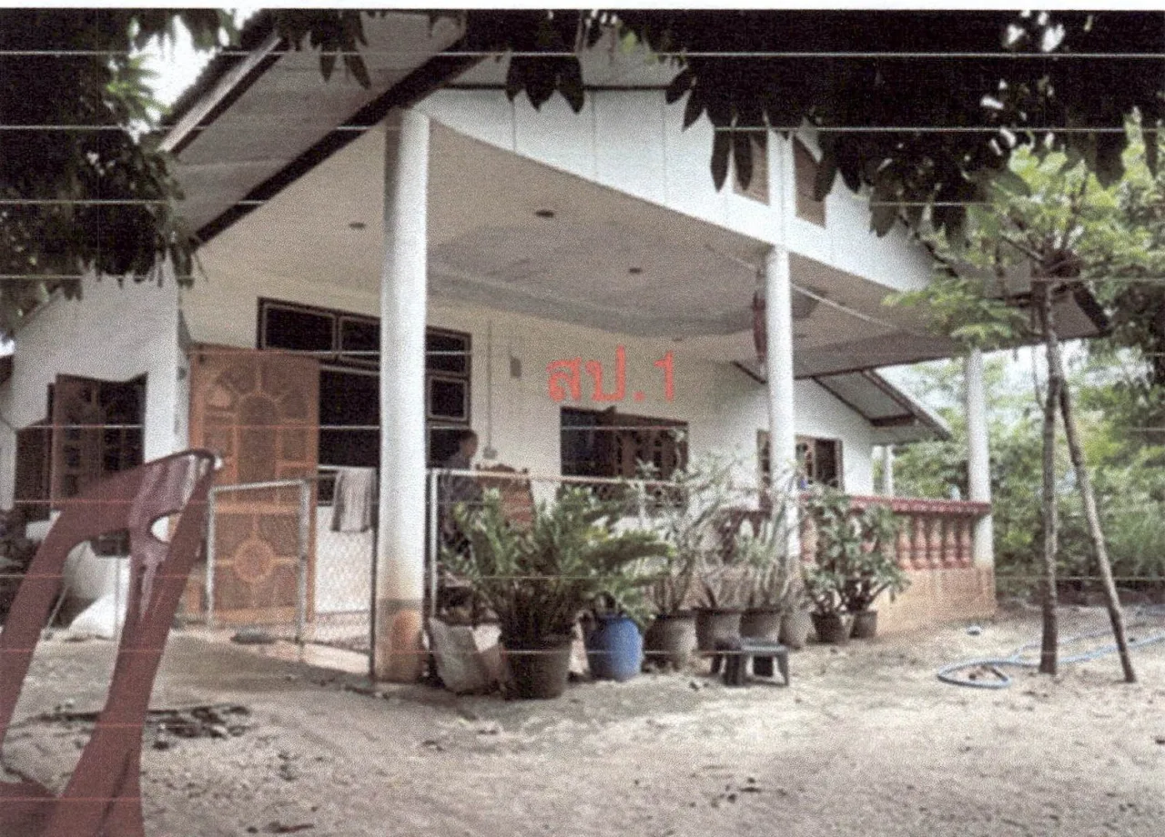 ขายทอดตลาด ที่ดินพร้อมสิ่งปลูกสร้าง ต.หนองหญ้าปล้อง อ.วังสะพุง จ.เลย