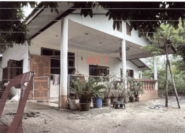 ขายทอดตลาด ที่ดินพร้อมสิ่งปลูกสร้าง ต.หนองหญ้าปล้อง อ.วังสะพุง จ.เลย