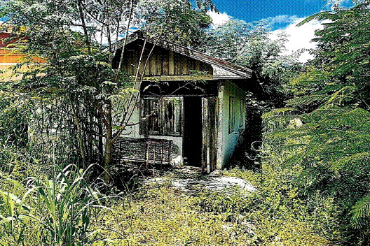 ขายทอดตลาด สิ่งปลูกสร้าง ต.ยางราก อ.โคกเจริญ จ.ลพบุรี