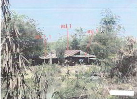 ขายทอดตลาด ที่ดินพร้อมสิ่งปลูกสร้าง ต.ผาน้อย อ.วังสะพุง จ.เลย