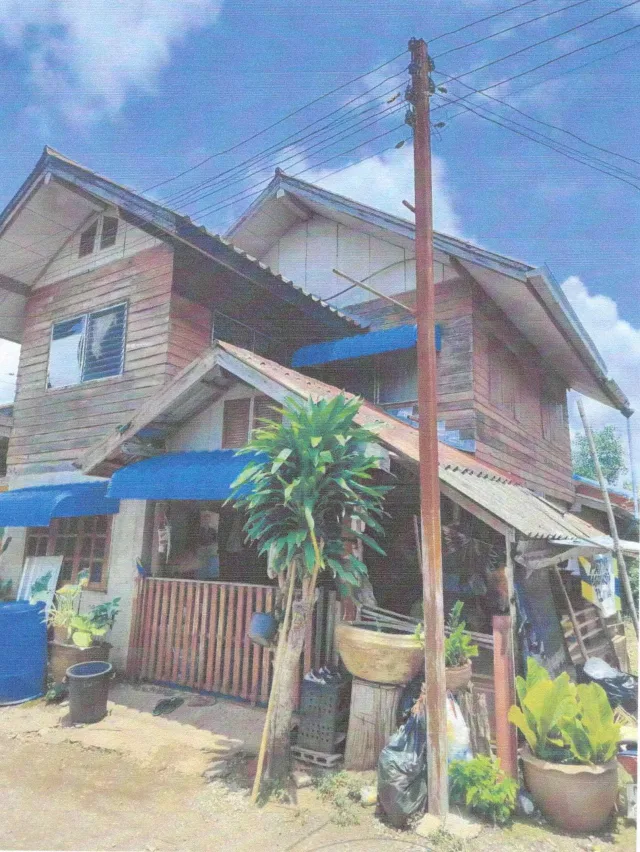 ขายทอดตลาด ที่ดินพร้อมสิ่งปลูกสร้าง ต.หนองหิน อ.หนองหิน จ.เลย