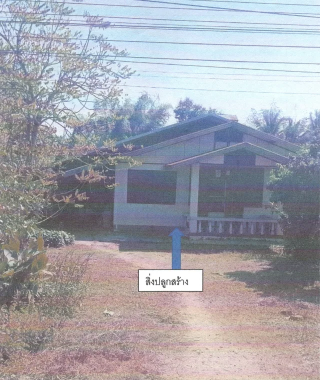 ขายทอดตลาด ที่ดินพร้อมสิ่งปลูกสร้าง ต.หนองผือ อ.ท่าลี่ จ.เลย