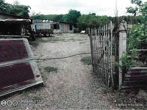 ขายทอดตลาด สิ่งปลูกสร้าง ต.วังทอง อ.กิ่งอำเภอโคกเจริญ จ.ลพบุรี