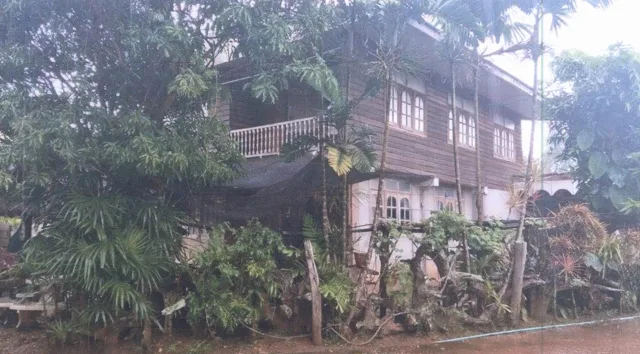 ขายทอดตลาด ที่ดินพร้อมสิ่งปลูกสร้าง ต.โคกงาม อ.ด่านซ้าย จ.เลย