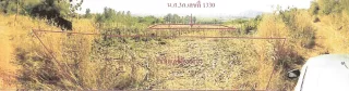รูปทรัพย์ 1