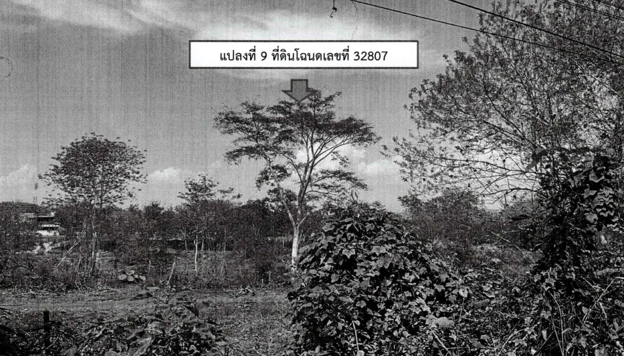 ขายทอดตลาด ที่ดินว่างเปล่า ต.นาแขม อ.เมืองเลย จ.เลย