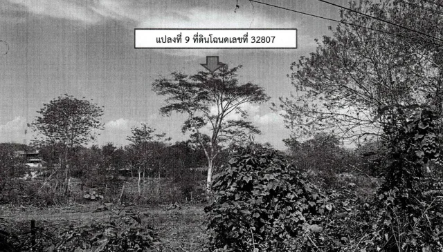 ขายทอดตลาด ที่ดินว่างเปล่า ต.นาแขม อ.เมืองเลย จ.เลย