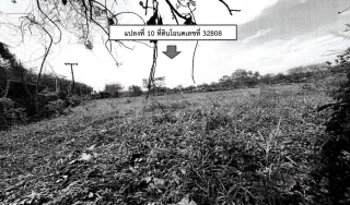 รูปทรัพย์ 2