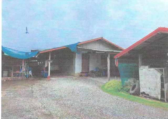 ขายทอดตลาด ที่ดินพร้อมสิ่งปลูกสร้าง ต.ท่าสะอาด อ.นาด้วง จ.เลย