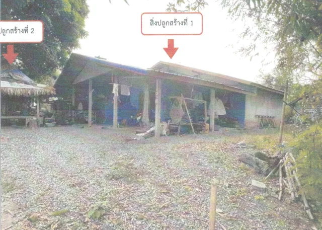 ขายทอดตลาด ที่ดินพร้อมสิ่งปลูกสร้าง ต.ภูหอ อ.ภูหลวง จ.เลย