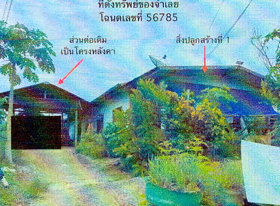 ขายทอดตลาด ที่ดินพร้อมสิ่งปลูกสร้าง ต.ศรีสองรัก อ.เมืองเลย จ.เลย