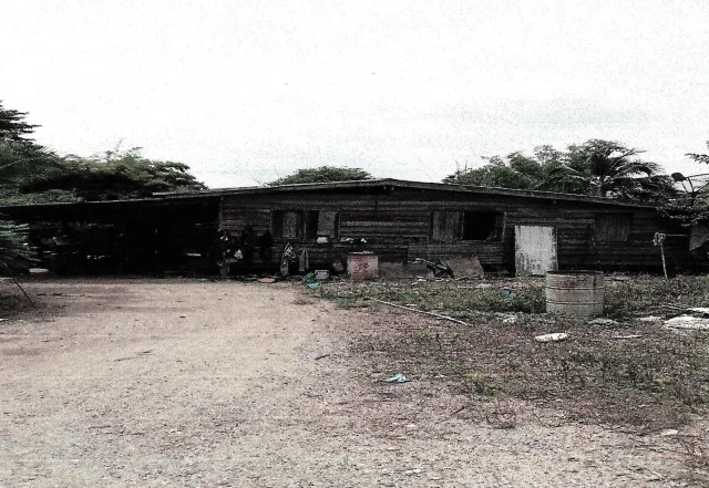 ขายทอดตลาด สิ่งปลูกสร้าง ต.นิยมชัย อ.สระโบสถ์ จ.ลพบุรี