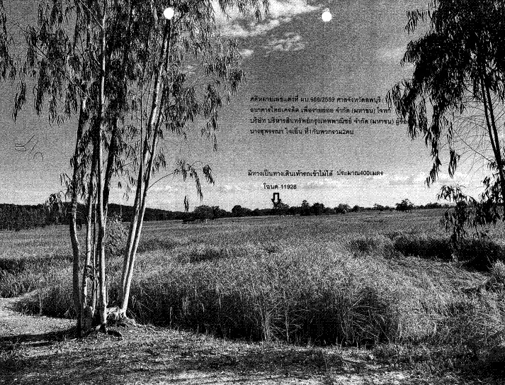 ขายทอดตลาด ที่ดินว่างเปล่า ต.มหาโพธิ อ.สระโบสถ์ จ.ลพบุรี
