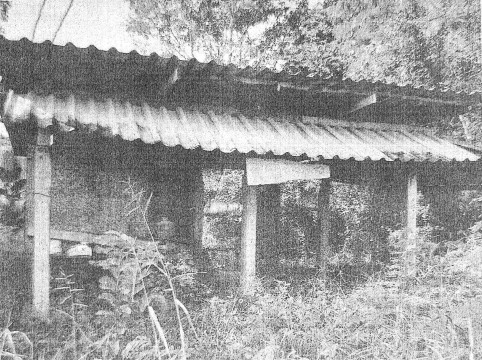 ขายทอดตลาด ที่ดินพร้อมสิ่งปลูกสร้าง ต.ลำนารายณ์ อ.ชัยบาดาล จ.ลพบุรี