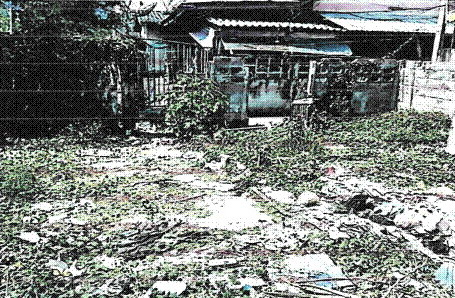 ขายทอดตลาด ที่ดินว่างเปล่า ต.ลำนารายณ์ อ.ชัยบาดาล จ.ลพบุรี