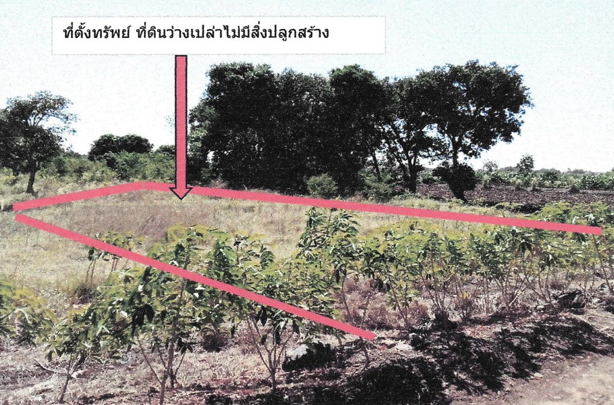 ขายทอดตลาด ที่ดินว่างเปล่า ต.ชัยบาดาล อ.ชัยบาดาล จ.ลพบุรี