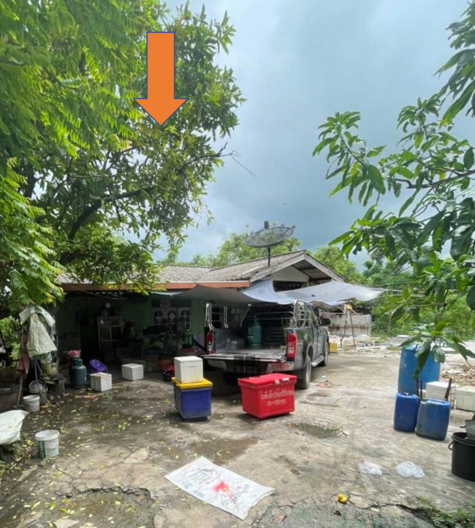 ขายทอดตลาด ที่ดินพร้อมสิ่งปลูกสร้าง ต.เขาแหลม อ.ชัยบาดาล จ.ลพบุรี