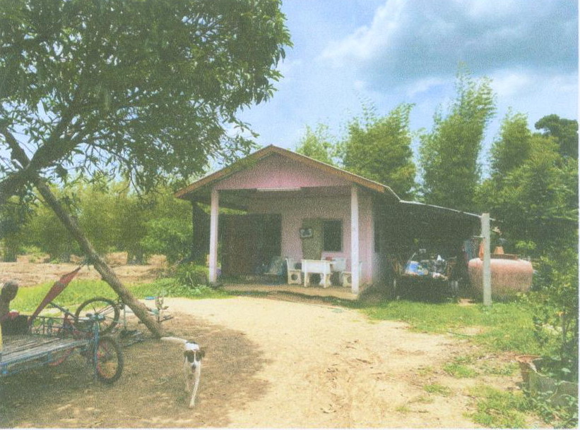 ขายทอดตลาด ที่ดินพร้อมสิ่งปลูกสร้าง ต.บัวชุม อ.ชัยบาดาล จ.ลพบุรี