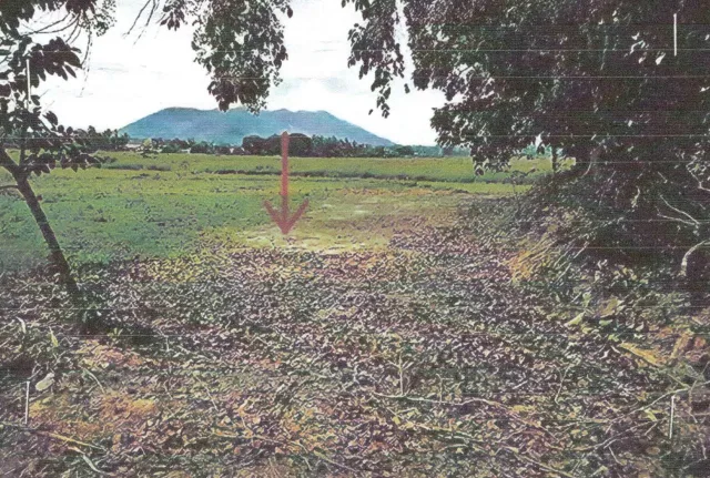 ขายทอดตลาด ที่ดินว่างเปล่า ต.ศรีสองรัก อ.เมืองเลย จ.เลย