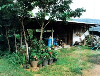 รูปทรัพย์ 1