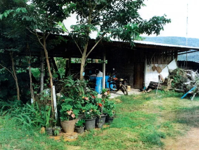 ขายทอดตลาด ที่ดินพร้อมสิ่งปลูกสร้าง ต.หนองบัว อ.ภูเรือ จ.เลย