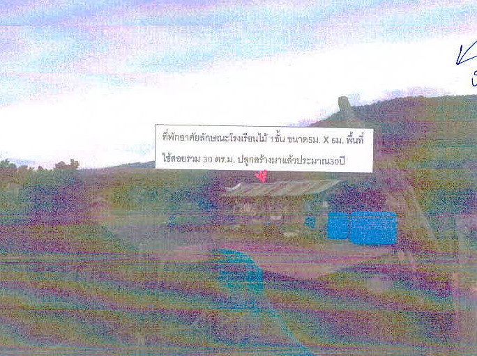 ขายทอดตลาด ที่ดินพร้อมสิ่งปลูกสร้าง ต.หนองบัว อ.ภูเรือ จ.เลย