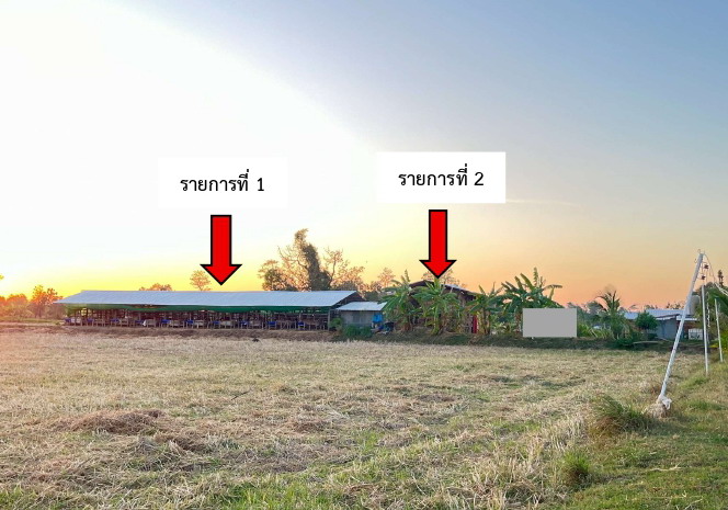ขายทอดตลาด ที่ดินพร้อมสิ่งปลูกสร้าง ต.โนนค้อ อ.โนนคูณ จ.ศรีสะเกษ