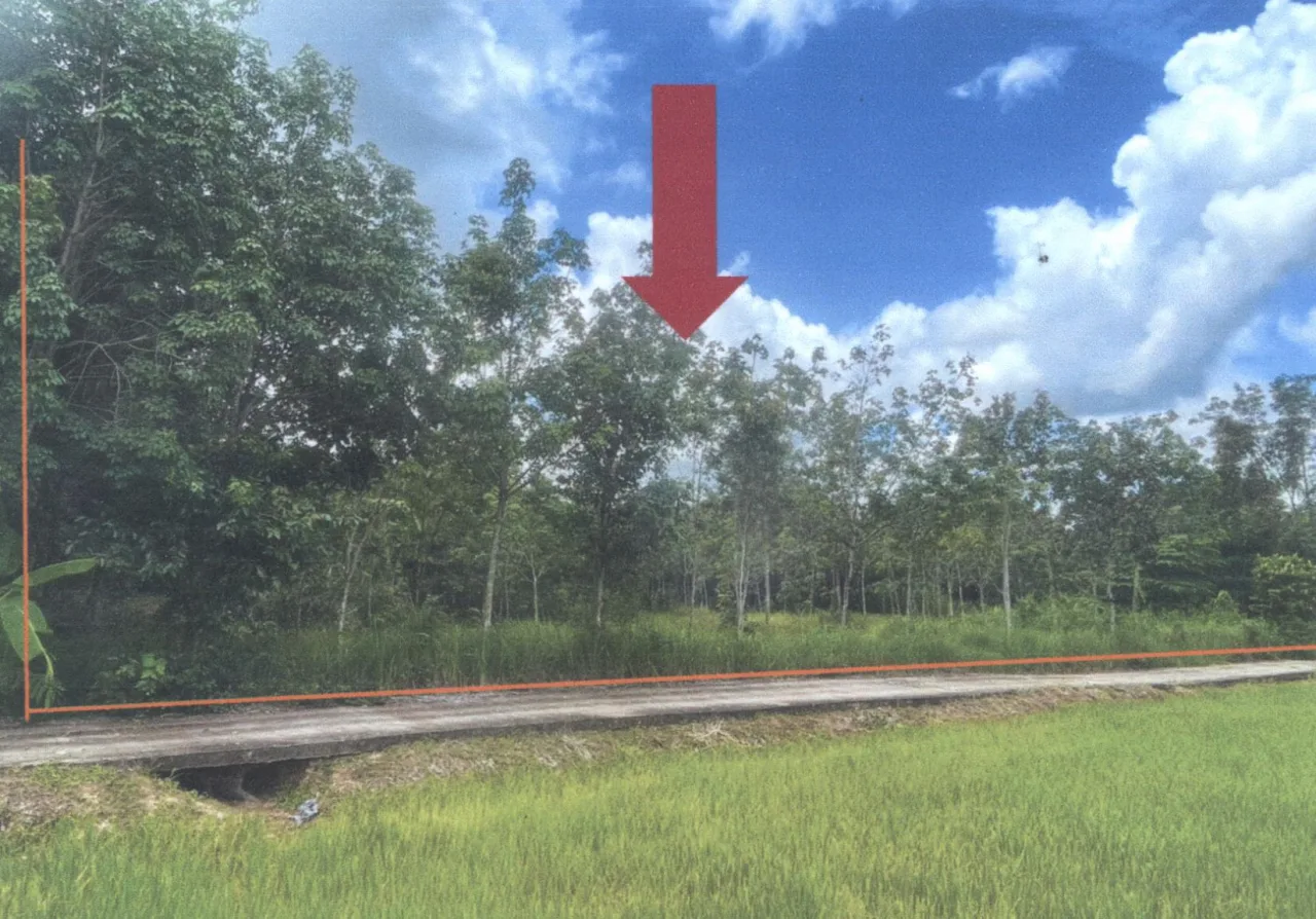 ขายทอดตลาด ที่ดินว่างเปล่า ต.สังเม็ก อ.กันทรลักษ์ จ.ศรีสะเกษ