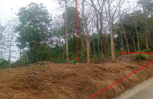 ขายทอดตลาด ที่ดินว่างเปล่า ต.ท่าข้าวเปลือก อ.แม่จัน จ.เชียงราย