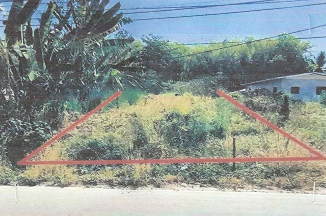 ขายทอดตลาด ที่ดินว่างเปล่า ต.เขาหลวง อ.วังสะพุง จ.เลย