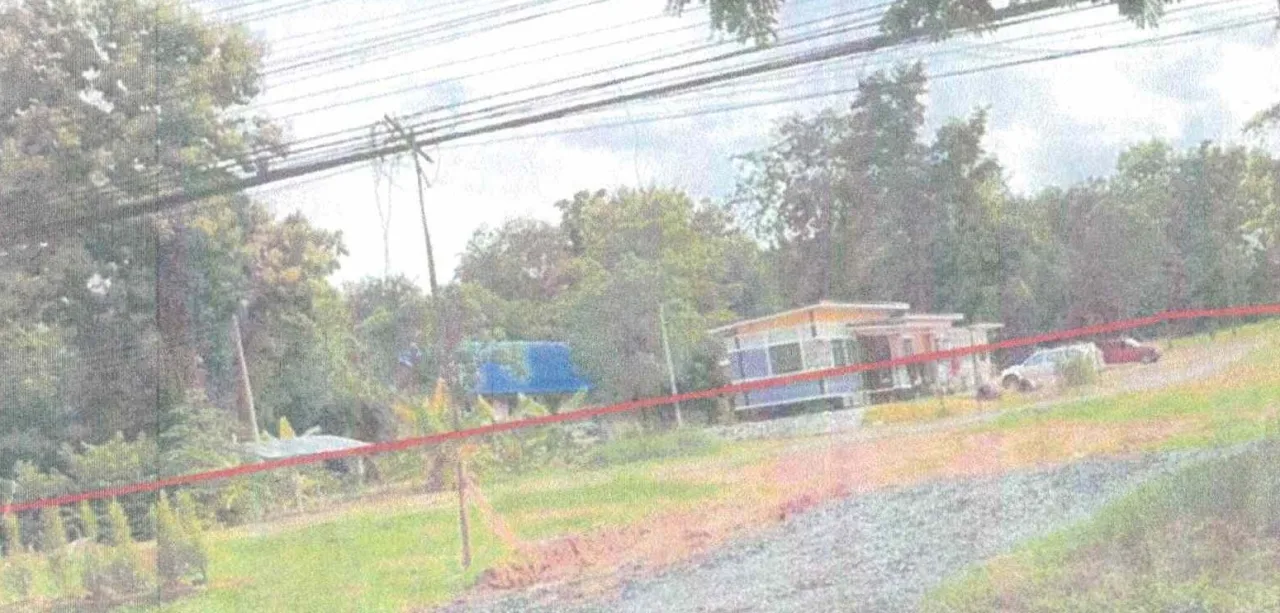 ขายทอดตลาด ที่ดินพร้อมสิ่งปลูกสร้าง ต.หนองหิน อ.หนองหิน จ.เลย