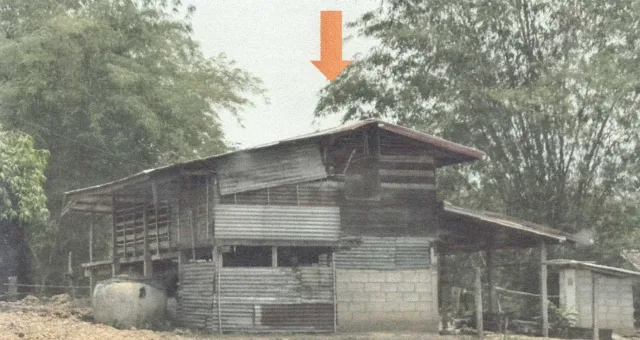 ขายทอดตลาด ที่ดินพร้อมสิ่งปลูกสร้าง ต.เชียงคาน อ.เชียงคาน จ.เลย