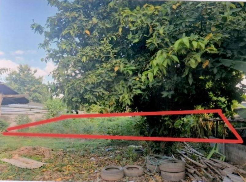 ขายทอดตลาด ที่ดินว่างเปล่า ต.น้ำอ้อม อ.กันทรลักษ์ จ.ศรีสะเกษ