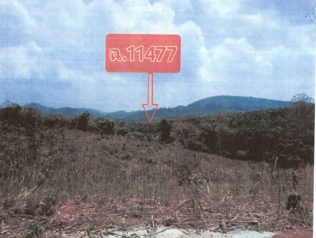 ขายทอดตลาด ที่ดินว่างเปล่า ต.ชมเจริญ อ.ปากชม จ.เลย