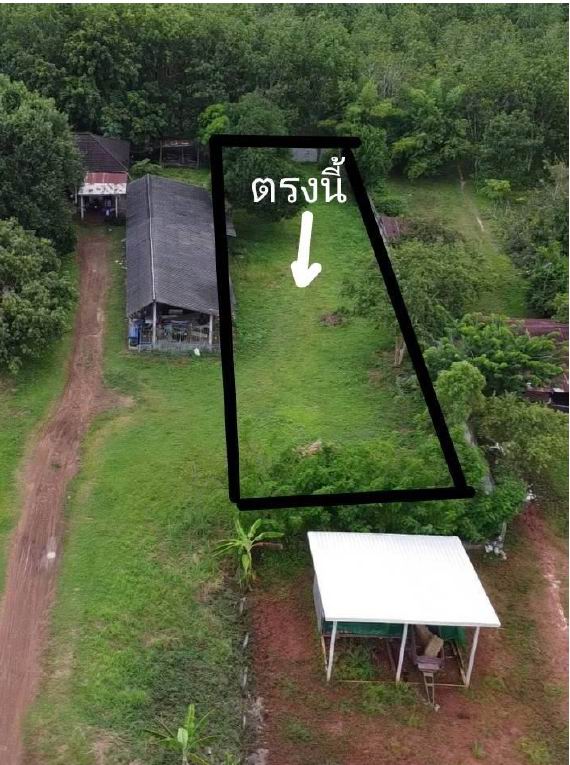 ขายทอดตลาด ที่ดินว่างเปล่า ต.หนองหญ้าลาด อ.กันทรลักษ์ จ.ศรีสะเกษ