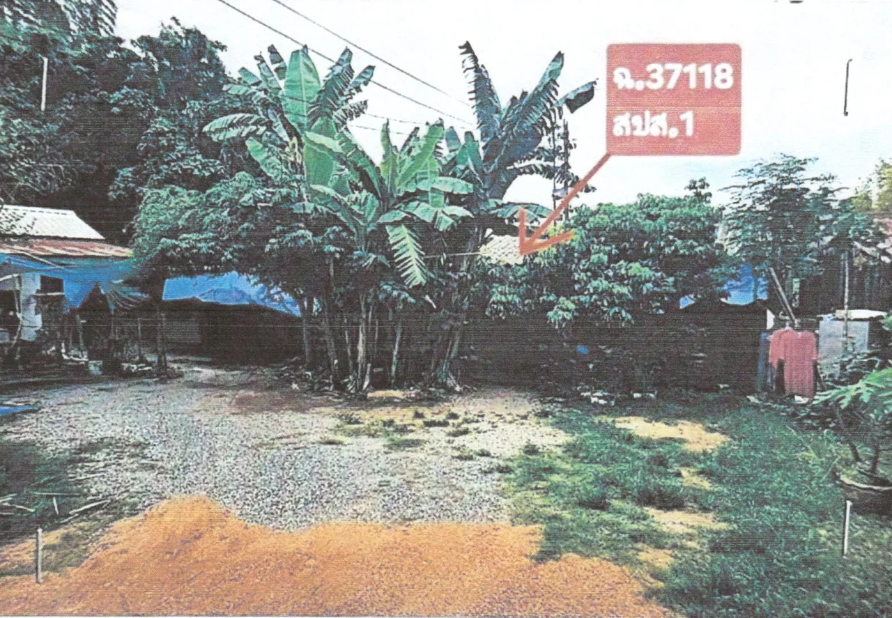 ขายทอดตลาด ที่ดินพร้อมสิ่งปลูกสร้าง ต.กุดป่อง อ.เมืองเลย จ.เลย