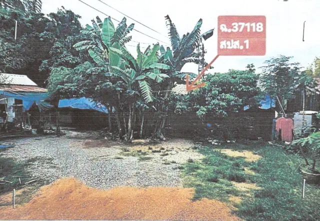 ขายทอดตลาด ที่ดินพร้อมสิ่งปลูกสร้าง ต.กุดป่อง อ.เมืองเลย จ.เลย