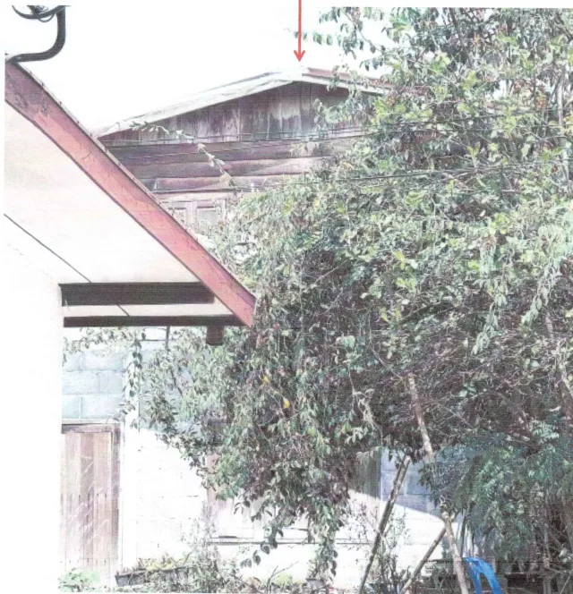 ขายทอดตลาด ที่ดินพร้อมสิ่งปลูกสร้าง ต.นาอ้อ อ.เมืองเลย จ.เลย