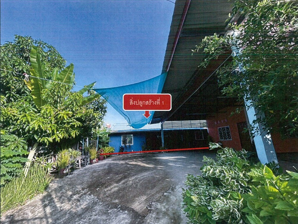 ขายทอดตลาด ที่ดินพร้อมสิ่งปลูกสร้าง ต.นาแพง อ.โคกโพธิ์ไชย จ.ขอนแก่น