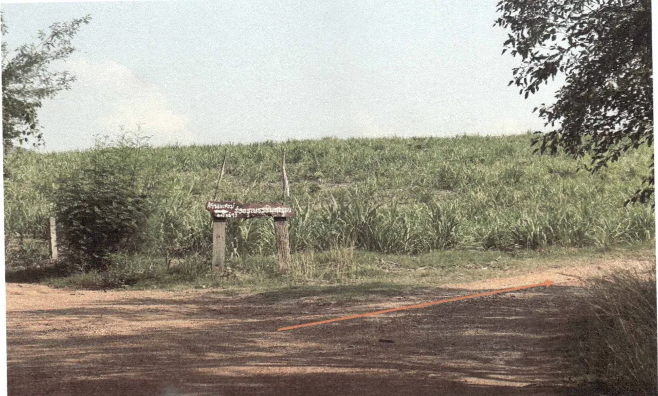 ขายทอดตลาด ที่ดินพร้อมสิ่งปลูกสร้าง ต.นาดินดำ อ.เมืองเลย จ.เลย